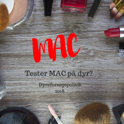15 MAKE UP MÆRKER, STADIG TESTER DYR | DYREFORSØGSPOLITIK | makeupmedomtanke
