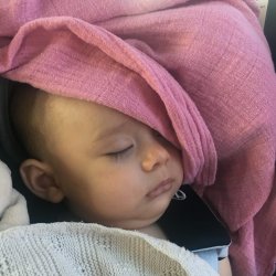 High Need Baby Quiz Maithitrucpham High Need Baby Quiz Maithitrucpham