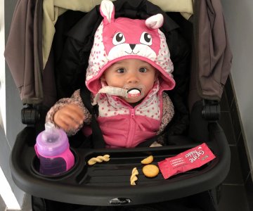 High Need Baby Quiz Maithitrucpham High Need Baby Quiz Maithitrucpham